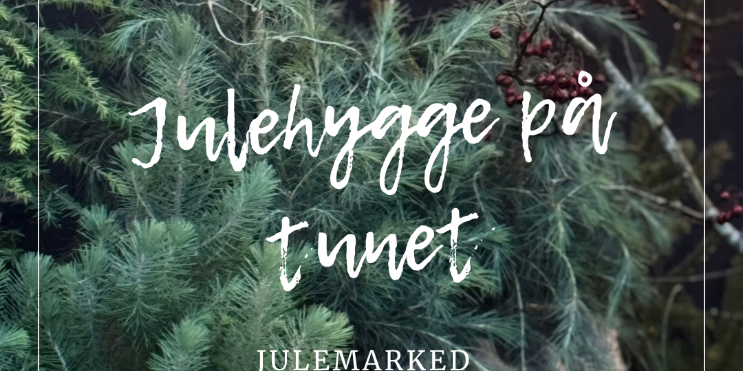 Julehygge på tunet
