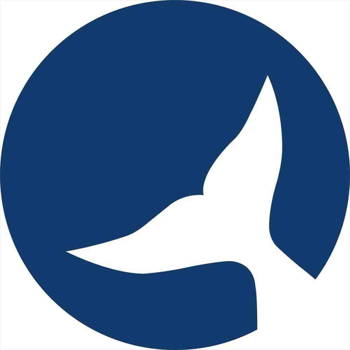 Sandefjord Byen Vår