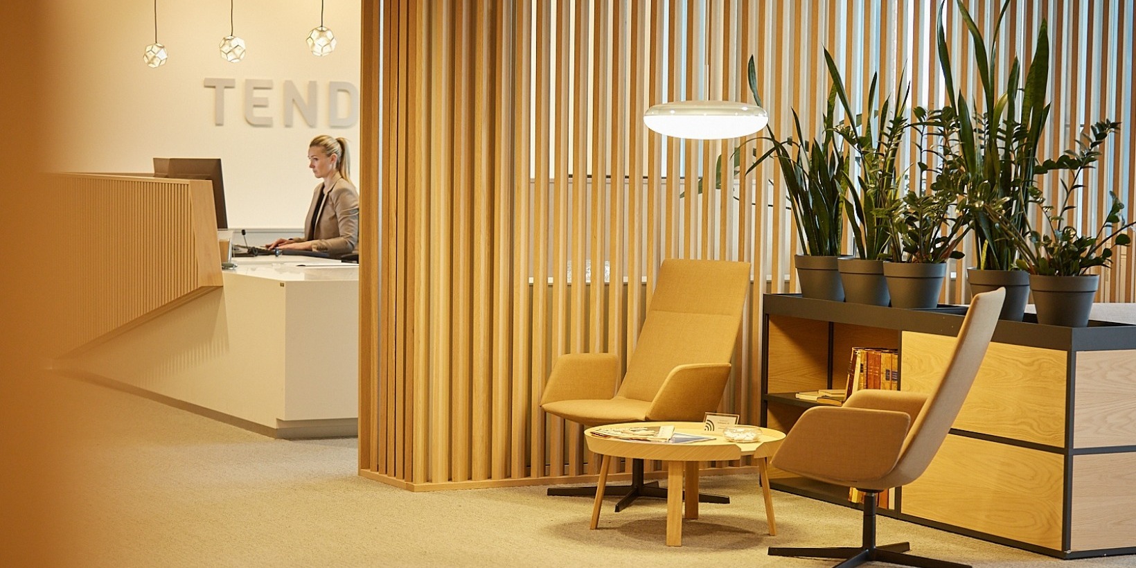 Tenden Advokatfirma ANS